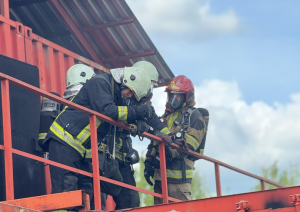 ig1